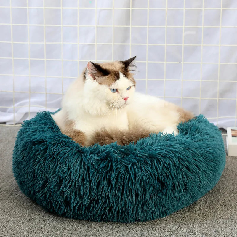 Cloud Comfort: Anti-Anxiety Calming Dog & Cat Bed (Washable Donut)