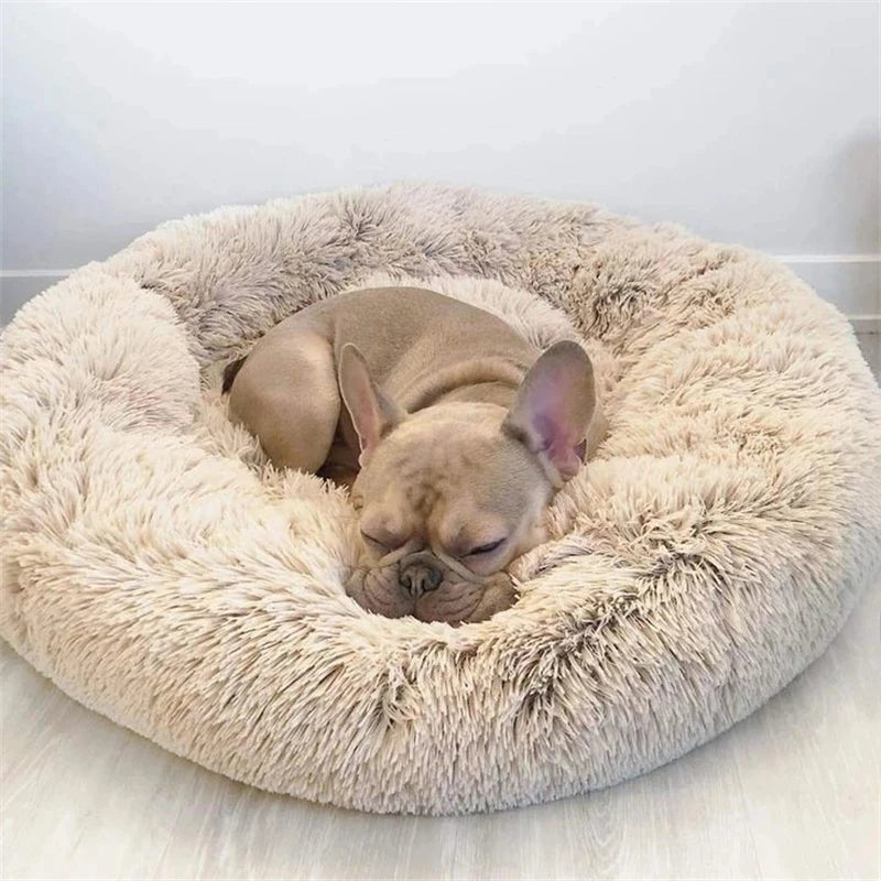 Cloud Comfort: Anti-Anxiety Calming Dog & Cat Bed (Washable Donut)