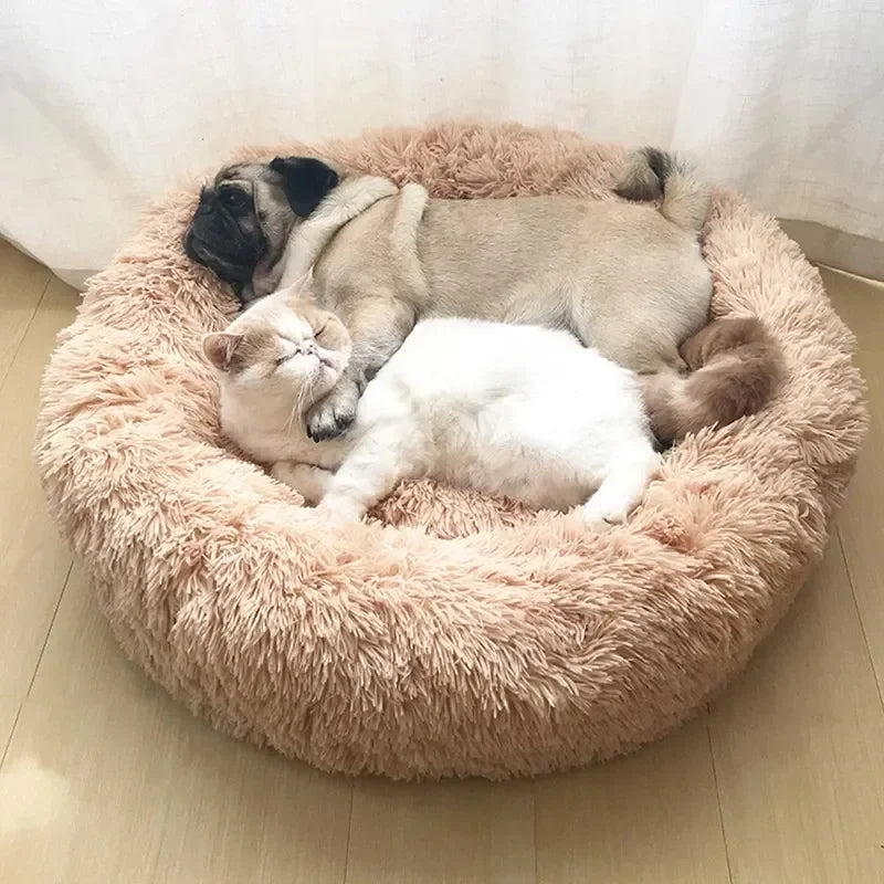 Cloud Comfort: Anti-Anxiety Calming Dog & Cat Bed (Washable Donut)